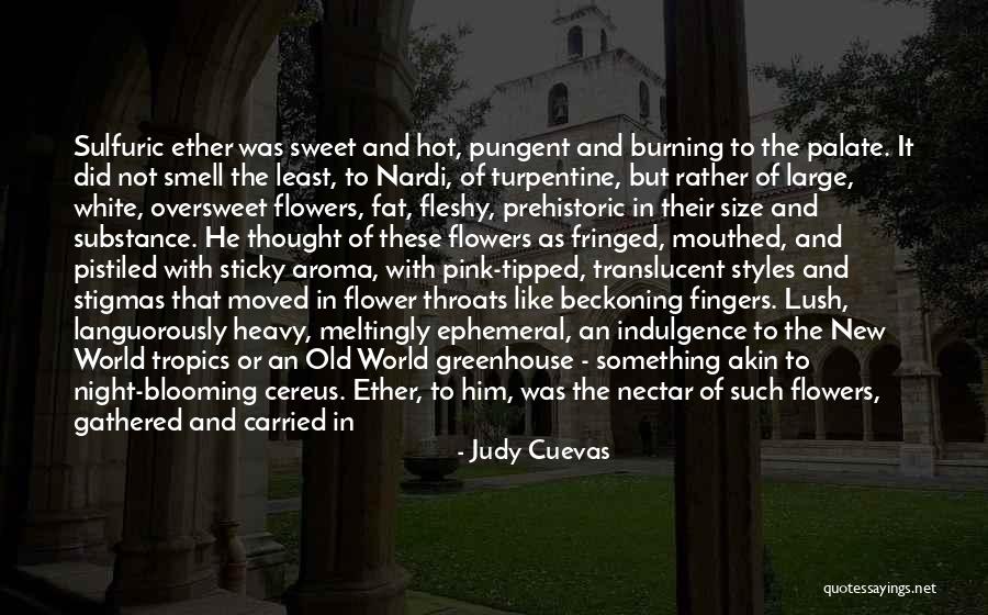 Beckoning Quotes By Judy Cuevas