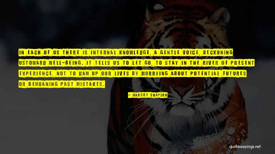 Beckoning Quotes By Marcey Shapiro Beckoning Quotes By Marcey Shapiro