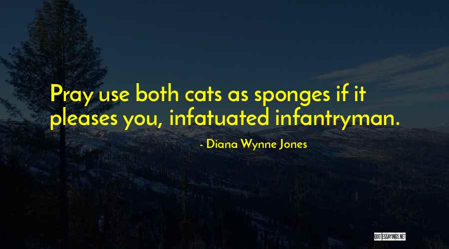 Beckstrom Quotes By Diana Wynne Jones Beckstrom Quotes By Diana Wynne Jones