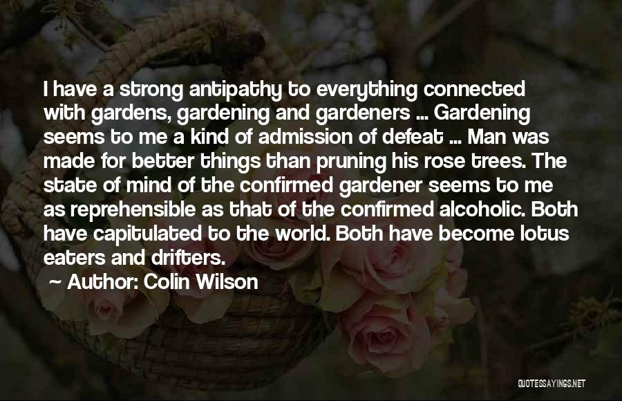 Become A Better Man Quotes By Colin Wilson