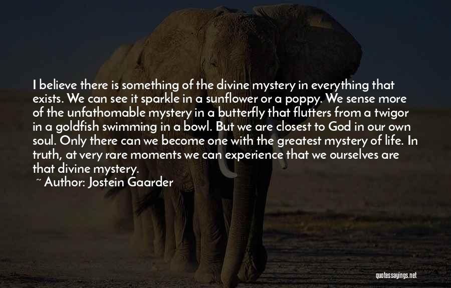 Become A Butterfly Quotes By Jostein Gaarder