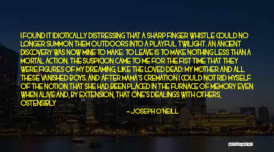 Become A Mother Quotes By Joseph O'Neill