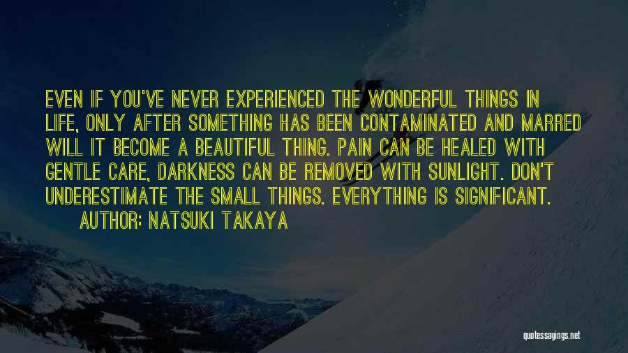 Become Something In Life Quotes By Natsuki Takaya