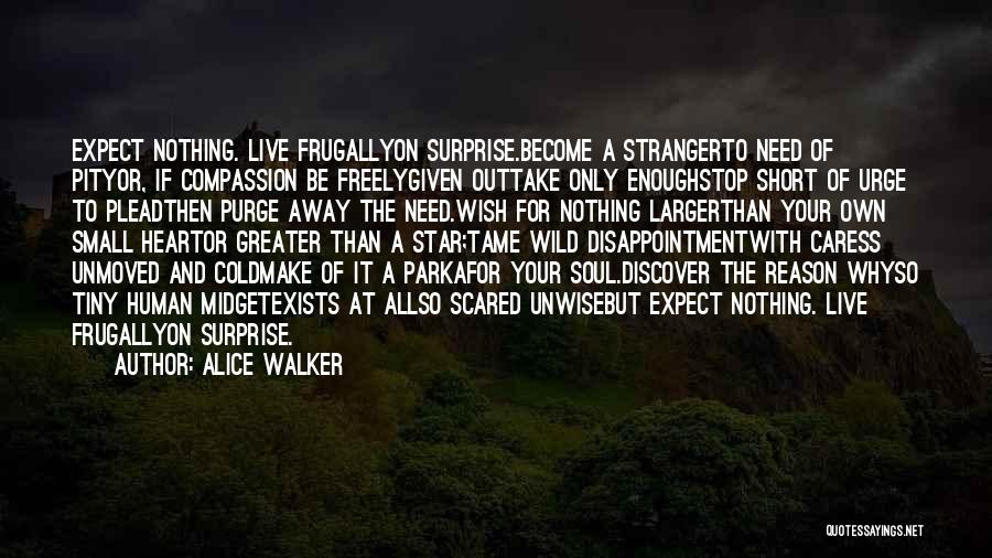 Become Stranger Quotes By Alice Walker