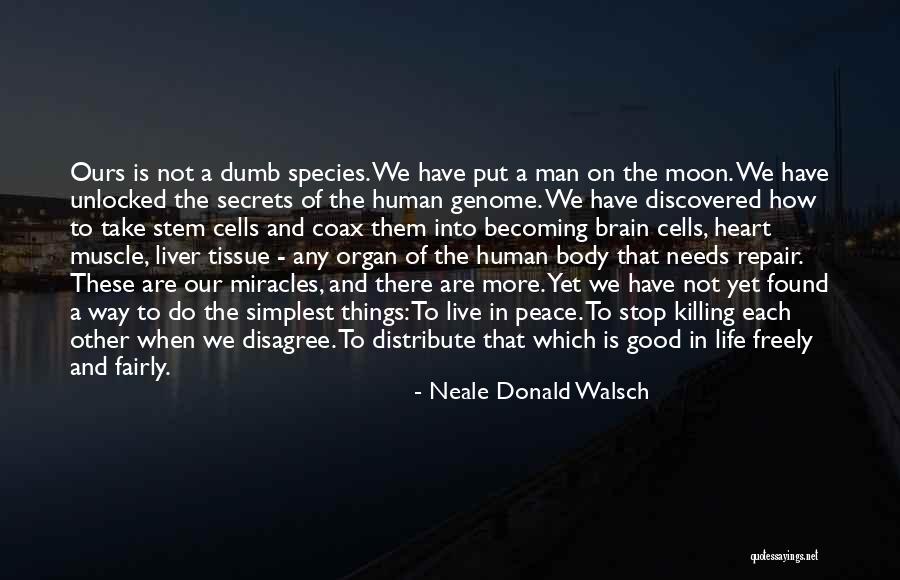 Becoming A Good Man Quotes By Neale Donald Walsch