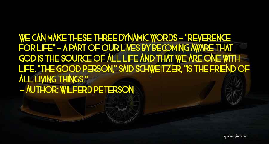 Becoming A Good Person Quotes By Wilferd Peterson