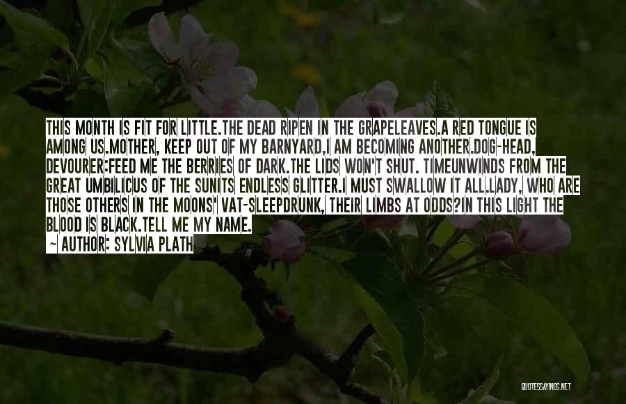 Becoming A Mother Quotes By Sylvia Plath