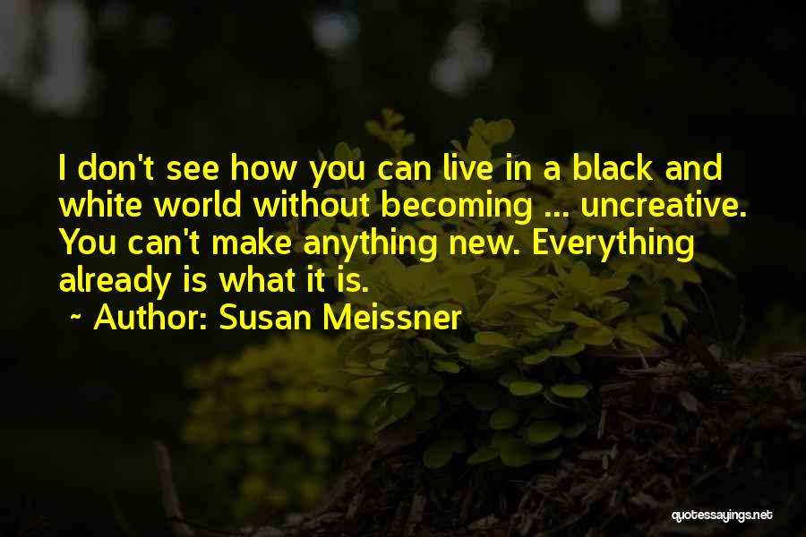 Becoming A New You Quotes By Susan Meissner
