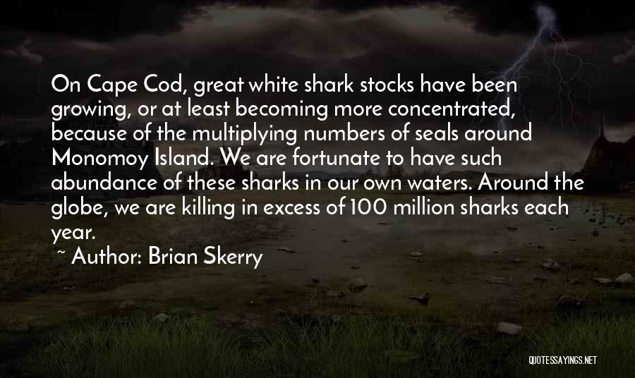 Becoming Great Quotes By Brian Skerry