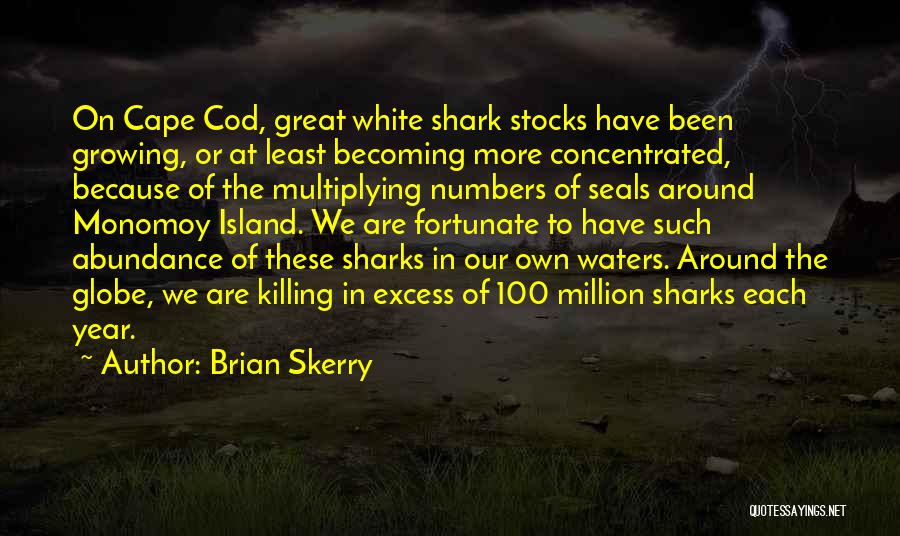 Becoming Something Great Quotes By Brian Skerry