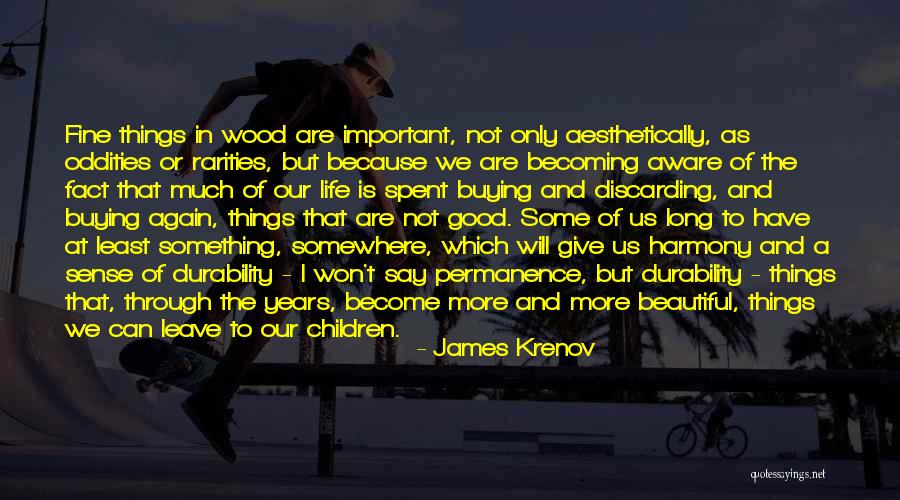Becoming Something More Quotes By James Krenov Becoming Something More Quotes By James Krenov