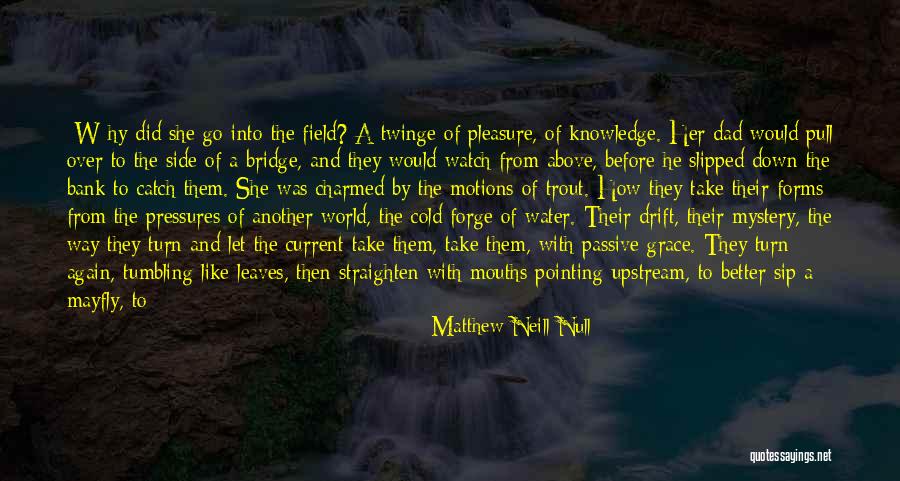 Becoming Yourself Again Quotes By Matthew Neill Null Becoming Yourself Again Quotes By Matthew Neill Null