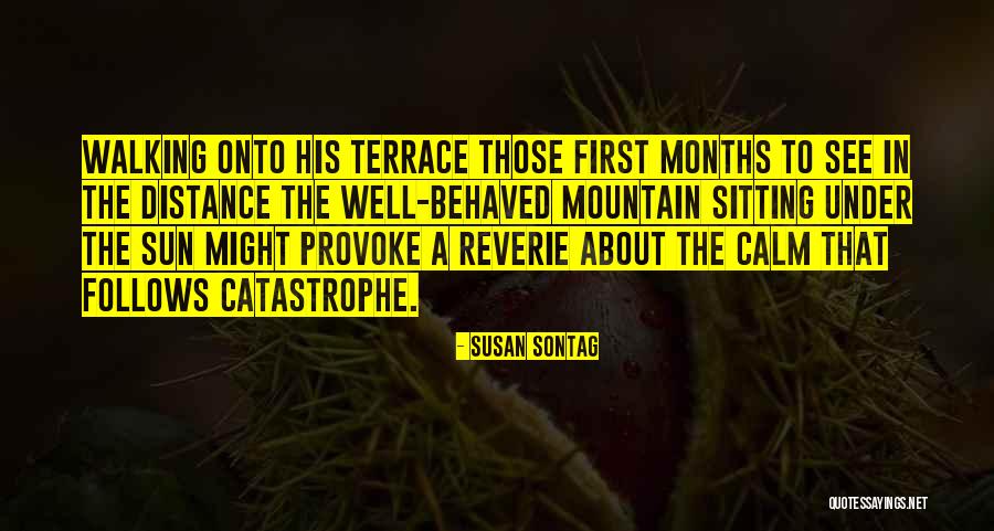 Becouse Quotes By Susan Sontag Becouse Quotes By Susan Sontag