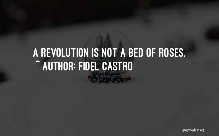 Bed Of Roses Quotes By Fidel Castro