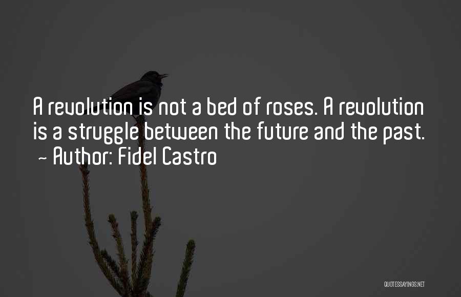Bed Of Roses Quotes By Fidel Castro