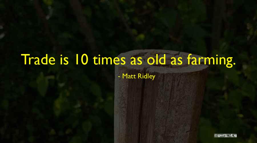 Bedchamber In The Bible Quotes By Matt Ridley Bedchamber In The Bible Quotes By Matt Ridley