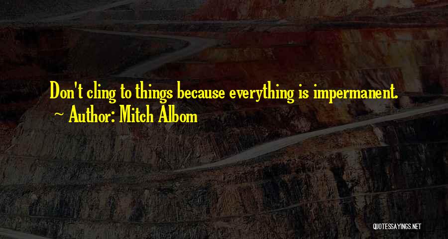 Bedells Pools Quotes By Mitch Albom