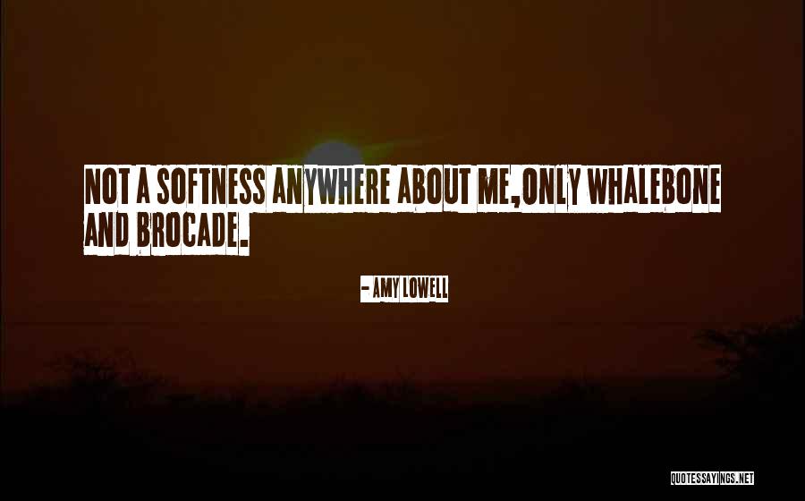 Bedenin Qurmaslna Quotes By Amy Lowell Bedenin Qurmaslna Quotes By Amy Lowell