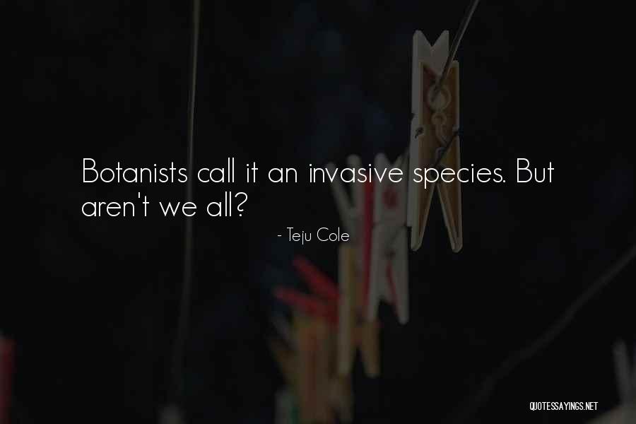 Bediako Julianne Quotes By Teju Cole Bediako Julianne Quotes By Teju Cole