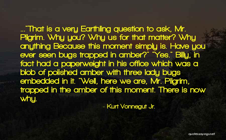 Bedimmed Easy Quotes By Kurt Vonnegut Jr. Bedimmed Easy Quotes By Kurt Vonnegut Jr.