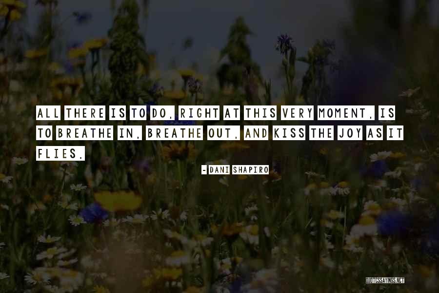Bedinger Mill Quotes By Dani Shapiro Bedinger Mill Quotes By Dani Shapiro