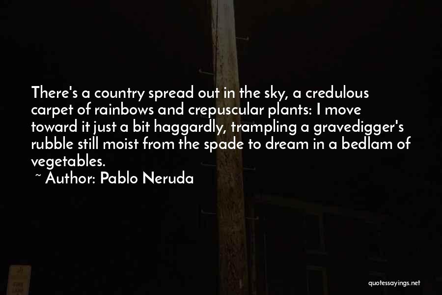 Bedlam Quotes By Pablo Neruda