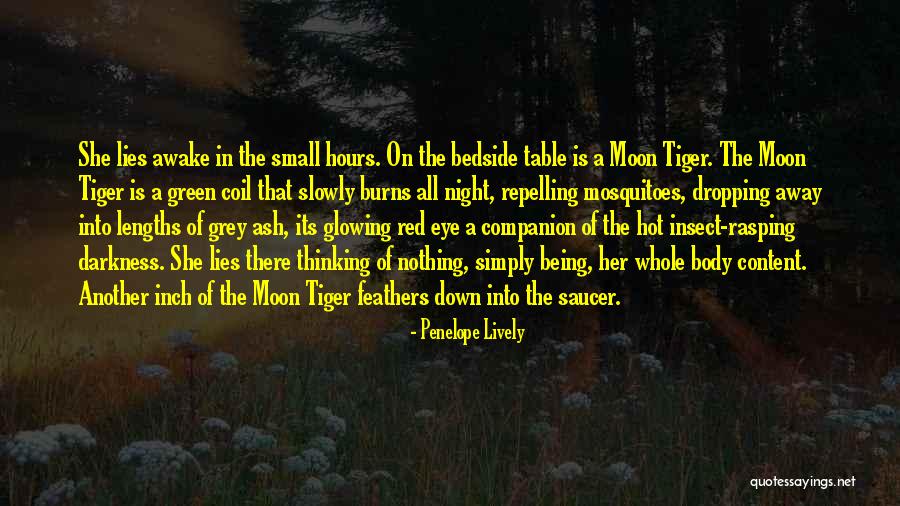 Bedside Quotes By Penelope Lively Bedside Quotes By Penelope Lively