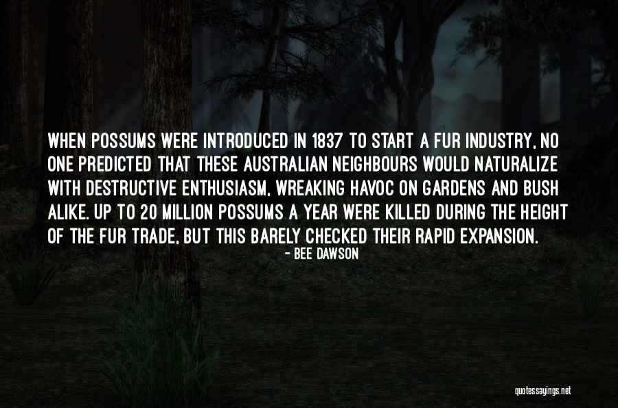 Bee Dawson Quotes 2171514 Bee Dawson Quotes 2171514