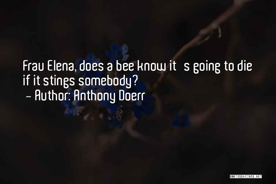 Bee Stings Quotes By Anthony Doerr