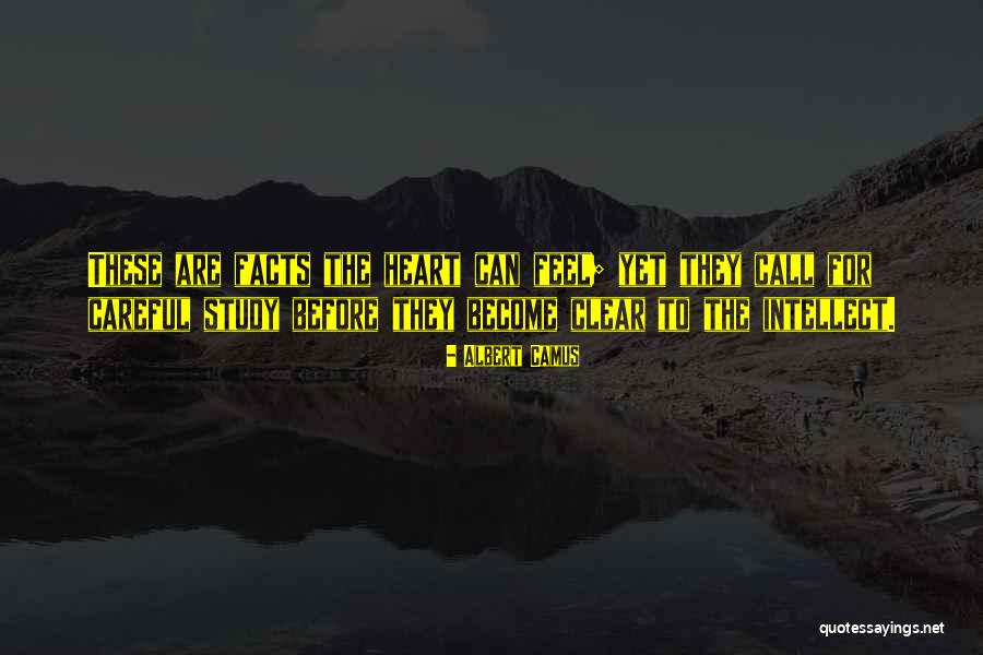 Beeby Bella Quotes By Albert Camus Beeby Bella Quotes By Albert Camus