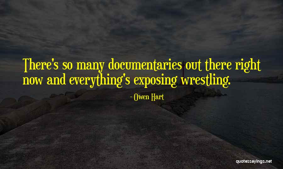 Beecrofts Gun Quotes By Owen Hart Beecrofts Gun Quotes By Owen Hart