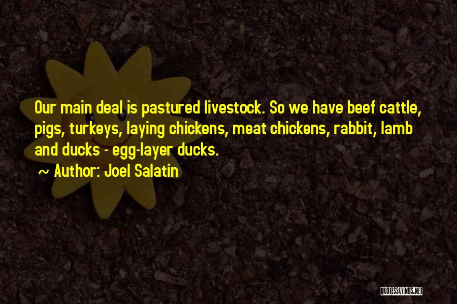 Beef Cattle Quotes By Joel Salatin