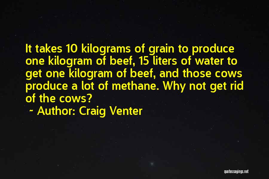 Beef Cows Quotes By Craig Venter