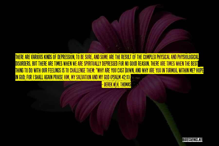 Beef Hearts For Fish Quotes By Derek W.H. Thomas Beef Hearts For Fish Quotes By Derek W.H. Thomas