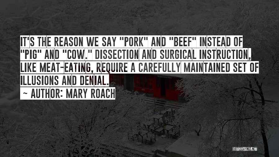 Beef Quotes By Mary Roach