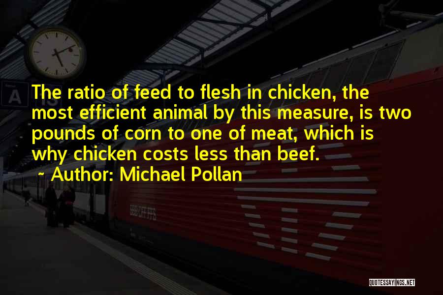 Beef Quotes By Michael Pollan