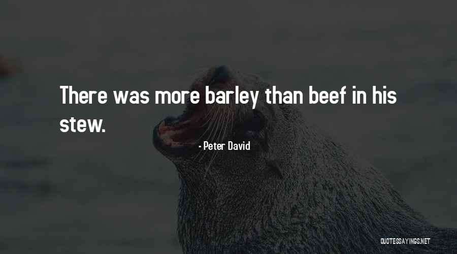 Beef Stew Quotes By Peter David