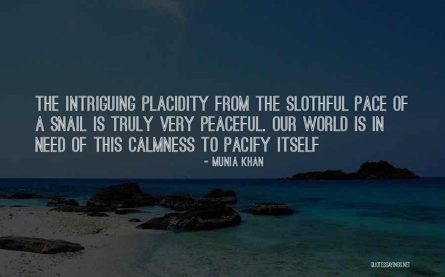 Beefs Quotes By Munia Khan Beefs Quotes By Munia Khan