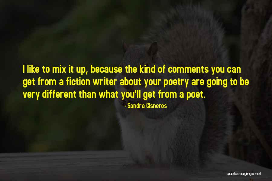 Beefs Quotes By Sandra Cisneros Beefs Quotes By Sandra Cisneros