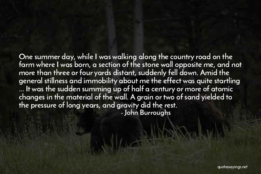 Beefy King Quotes By John Burroughs Beefy King Quotes By John Burroughs