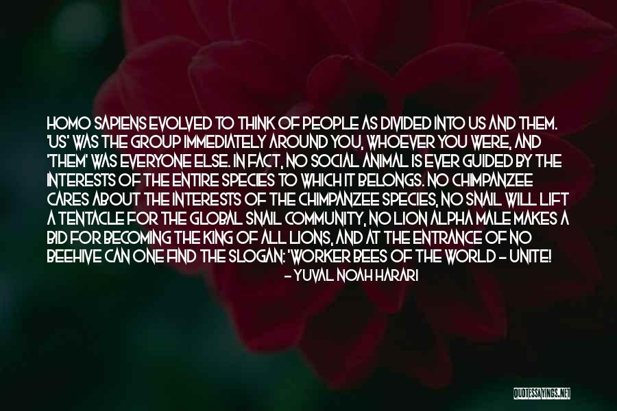 Beehive Quotes By Yuval Noah Harari Beehive Quotes By Yuval Noah Harari