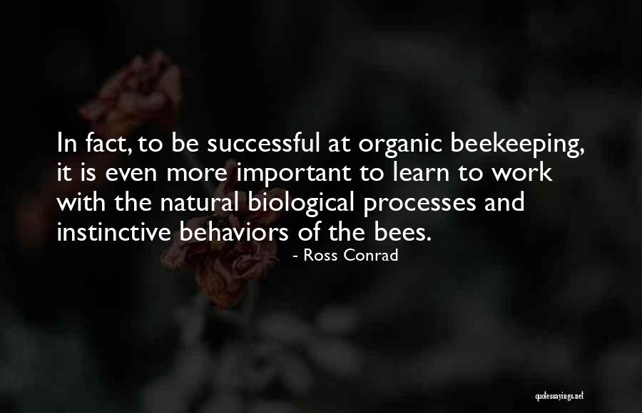Beekeeping Quotes By Ross Conrad Beekeeping Quotes By Ross Conrad