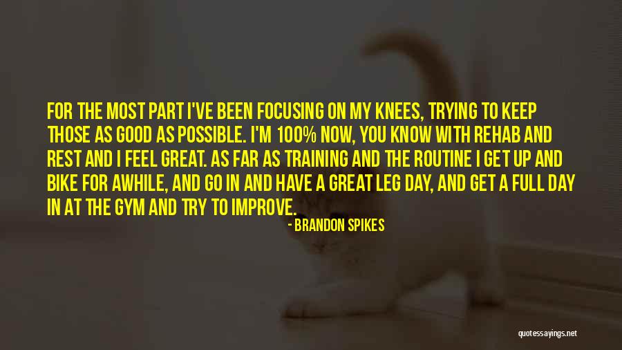 Been Awhile Quotes By Brandon Spikes Been Awhile Quotes By Brandon Spikes