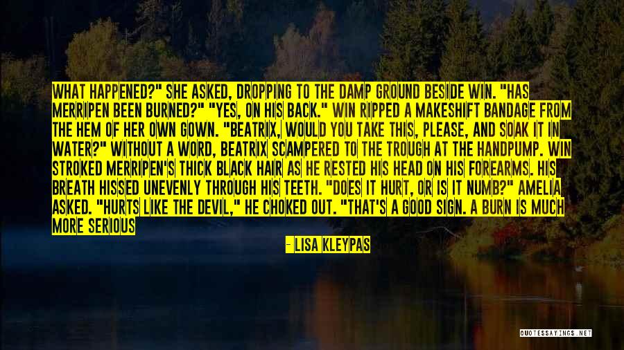 Been Burned Quotes By Lisa Kleypas Been Burned Quotes By Lisa Kleypas