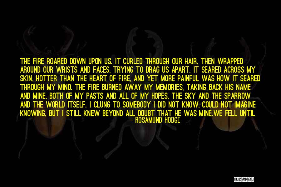 Been Burned Quotes By Rosamund Hodge Been Burned Quotes By Rosamund Hodge