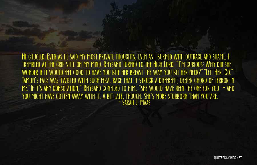 Been Burned Quotes By Sarah J. Maas Been Burned Quotes By Sarah J. Maas