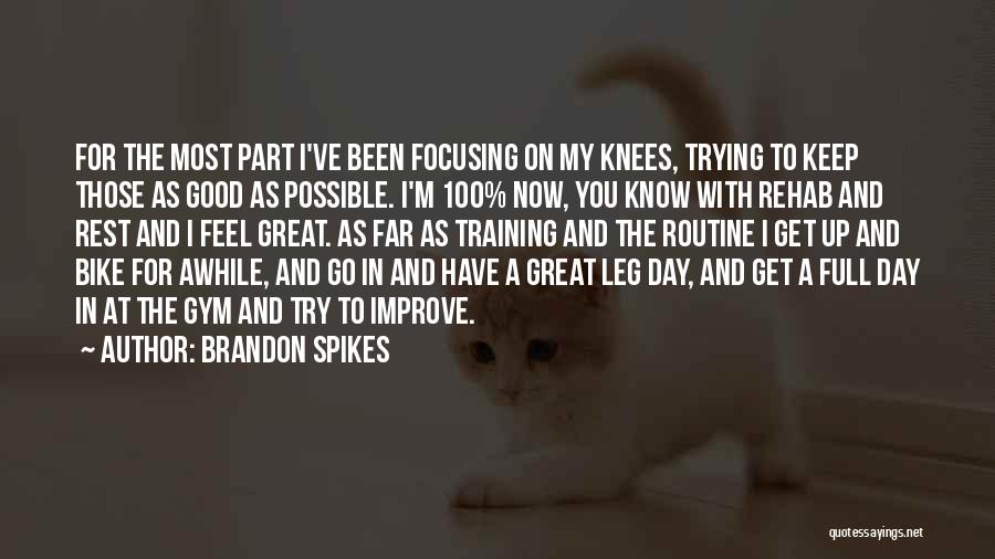 Been Gone For Awhile Quotes By Brandon Spikes