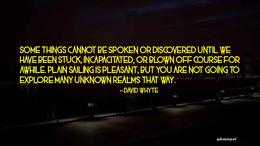 Been Gone For Awhile Quotes By David Whyte