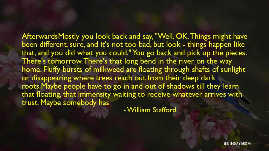 Been Gone For Awhile Quotes By William Stafford