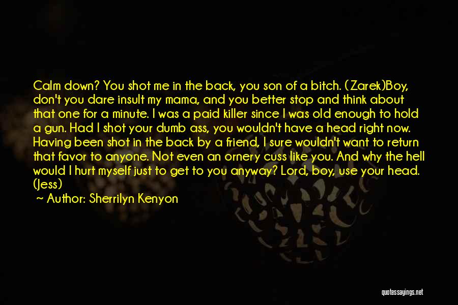 Been Hurt Enough Quotes By Sherrilyn Kenyon